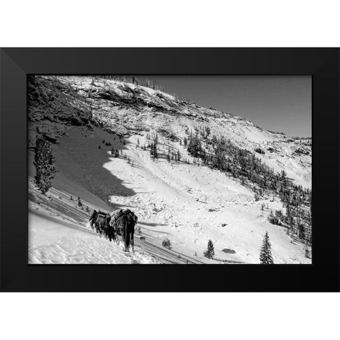 Cougar Basin Payette Black Modern Wood Framed Art Print by Lutz, Jesse