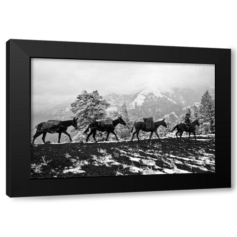 Winter Mule Packing Black Modern Wood Framed Art Print with Double Matting by Vintage Photography