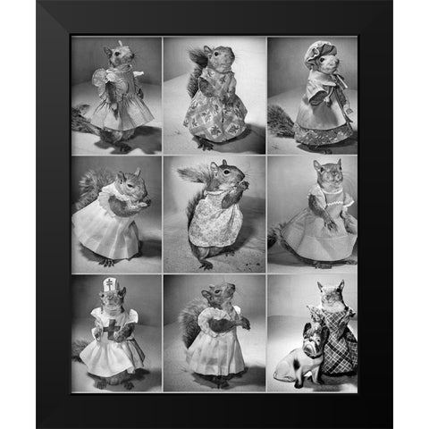 Tommy Tucker the Pet Squirrel 1944 Black Modern Wood Framed Art Print by Vintage Photography