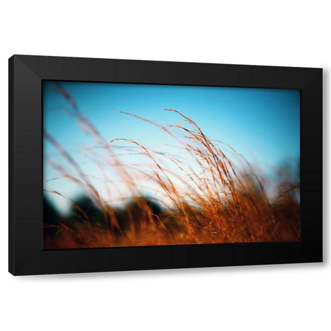 Alabama Grasslands Black Modern Wood Framed Art Print by Alabama Picture Archive
