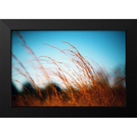 Alabama Grasslands Black Modern Wood Framed Art Print by Alabama Picture Archive