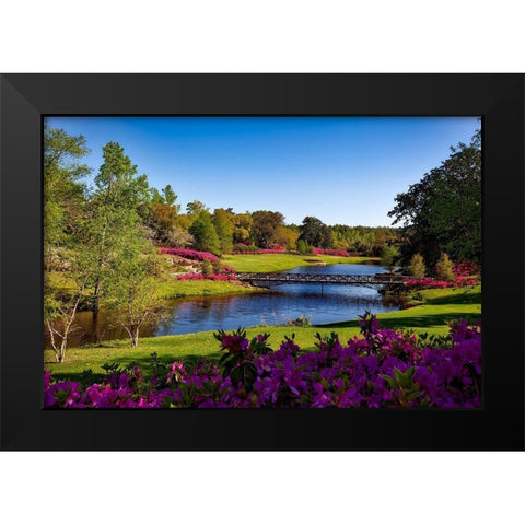 Bellingrath Gardens Alabama I Black Modern Wood Framed Art Print by Alabama Picture Archive