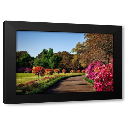Bellingrath Gardens Alabama II Black Modern Wood Framed Art Print with Double Matting by Alabama Picture Archive