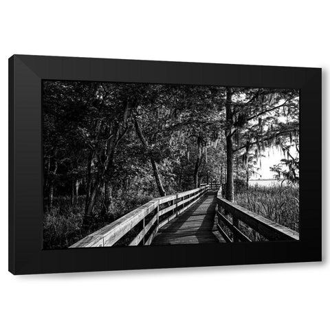 Historic Blakeley State Park on the Tensaw River Black Modern Wood Framed Art Print with Double Matting by Alabama Picture Archive