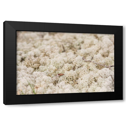 Moose Moss Black Modern Wood Framed Art Print by Alabama Picture Archive