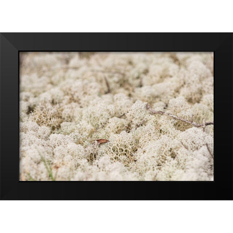 Moose Moss Black Modern Wood Framed Art Print by Alabama Picture Archive