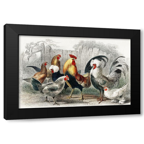 A History of the Earth and Animated Nature Black Modern Wood Framed Art Print by Goldsmith, Oliver