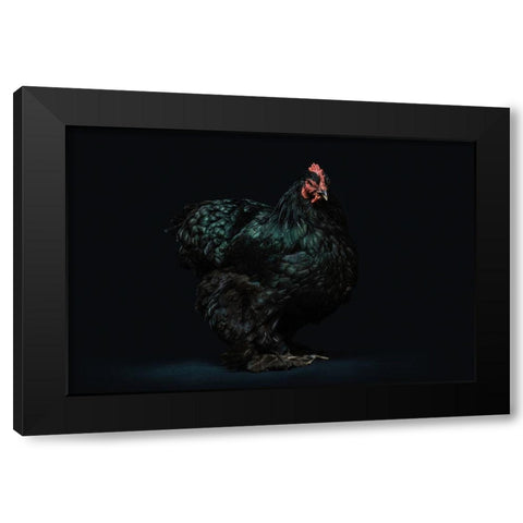 Black Beauty Black Modern Wood Framed Art Print with Double Matting by Chickens