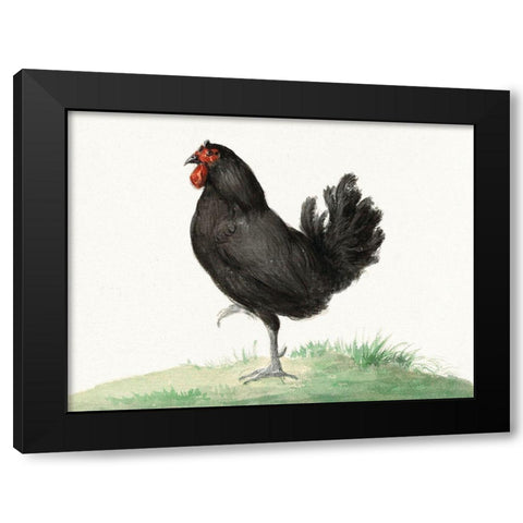 Standing Black Chicken Black Modern Wood Framed Art Print by Bernard, Jean