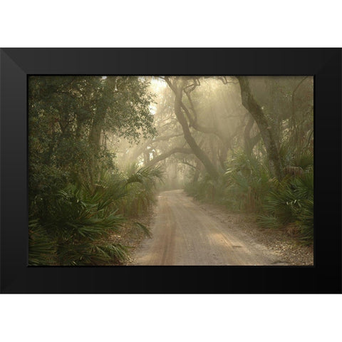 Cumberland Island-Georgia Black Modern Wood Framed Art Print by Georgia Picture Archive