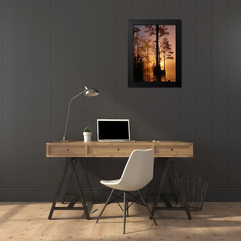 Okefenokee Swamp Sunset-Georgia Black Modern Wood Framed Art Print by Georgia Picture Archive
