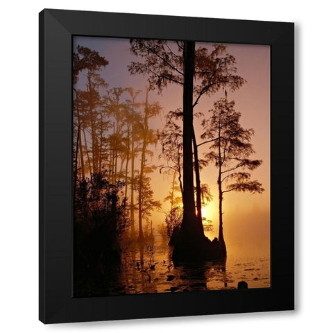 Okefenokee Swamp Sunset-Georgia Black Modern Wood Framed Art Print with Double Matting by Georgia Picture Archive