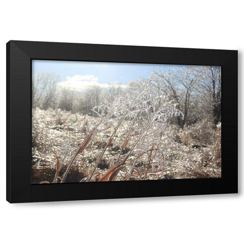 Tallgrass Trail at Big Muddy National Fish and Wildlife Refuge-Missouri Black Modern Wood Framed Art Print by Weyers, Anna