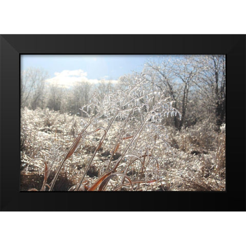 Tallgrass Trail at Big Muddy National Fish and Wildlife Refuge-Missouri Black Modern Wood Framed Art Print by Weyers, Anna