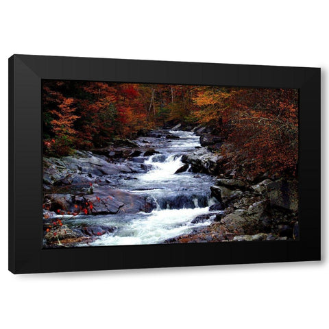 Tennessee Great Smoky Mountains National Park Black Modern Wood Framed Art Print by Tennessee Picture Archive