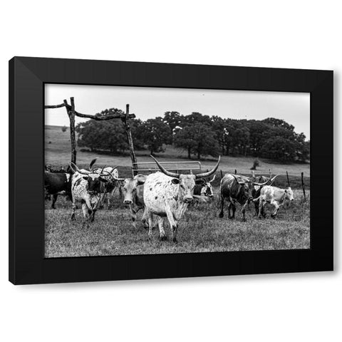 Lonesome Pine Ranch Austin County Texas Black Modern Wood Framed Art Print by Texas Picture Archive