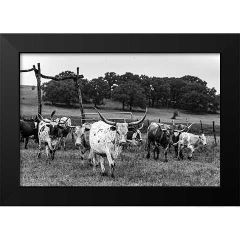 Lonesome Pine Ranch Austin County Texas Black Modern Wood Framed Art Print by Texas Picture Archive