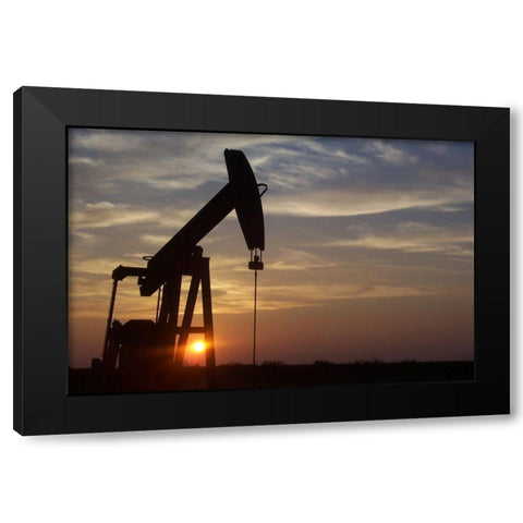 Texas Grasshopper at Sunset Black Modern Wood Framed Art Print by Texas Picture Archive