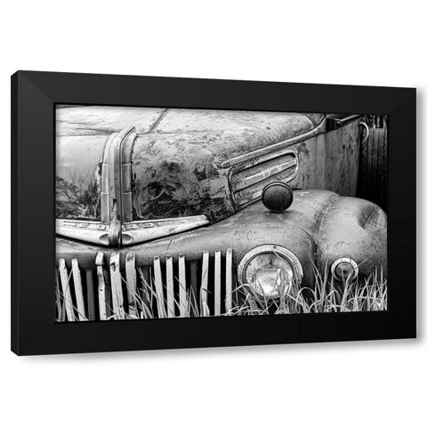 Back to Nature Black Modern Wood Framed Art Print with Double Matting by Vintage Photo Archive