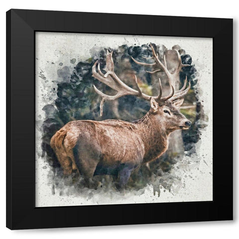 Forest Prince Black Modern Wood Framed Art Print by Alpenglow Workshop