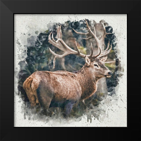 Forest Prince Black Modern Wood Framed Art Print by Alpenglow Workshop