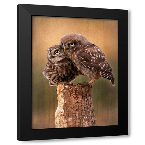 Learning the Ropes Black Modern Wood Framed Art Print by Alpenglow Workshop