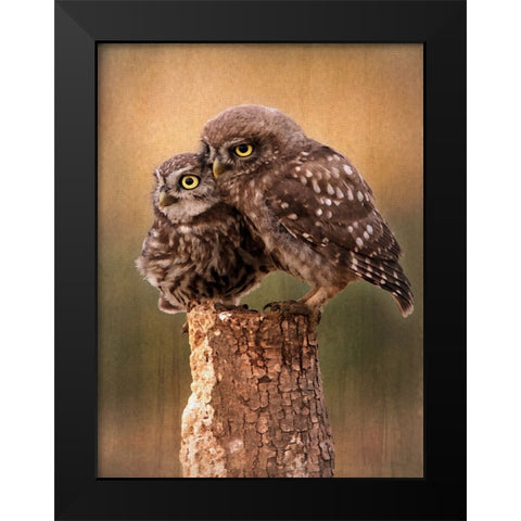 Learning the Ropes Black Modern Wood Framed Art Print by Alpenglow Workshop
