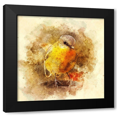 Little Bird Black Modern Wood Framed Art Print by Alpenglow Workshop