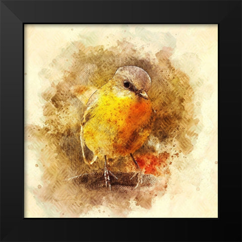 Little Bird Black Modern Wood Framed Art Print by Alpenglow Workshop