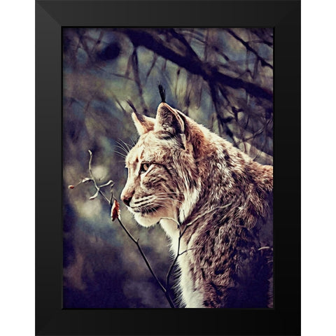 Lynx Black Modern Wood Framed Art Print by Alpenglow Workshop
