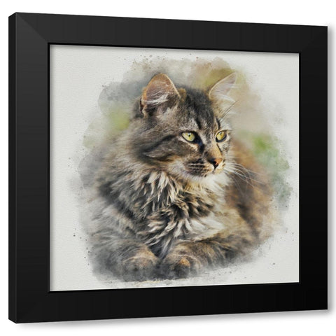 Maine Coon Cat Black Modern Wood Framed Art Print by Alpenglow Workshop