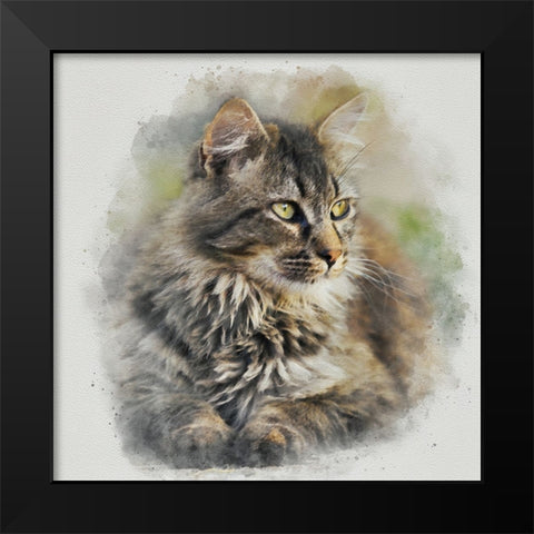 Maine Coon Cat Black Modern Wood Framed Art Print by Alpenglow Workshop