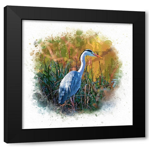Patiently Waiting Black Modern Wood Framed Art Print by Alpenglow Workshop