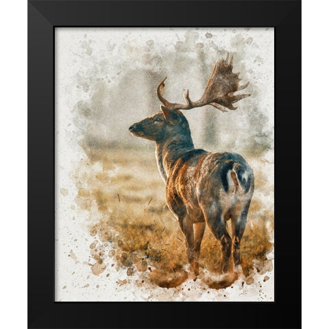 Silent Observer Black Modern Wood Framed Art Print by Alpenglow Workshop