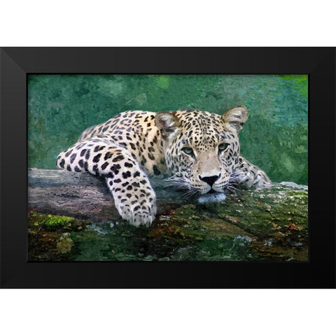 Snow Leopard Black Modern Wood Framed Art Print by Alpenglow Workshop