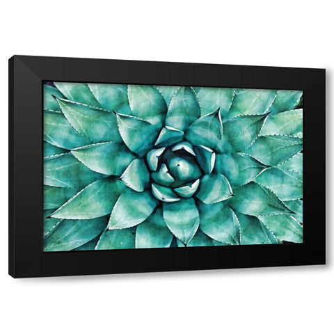 Heart of the Succulent Black Modern Wood Framed Art Print with Double Matting by Alpenglow Workshop