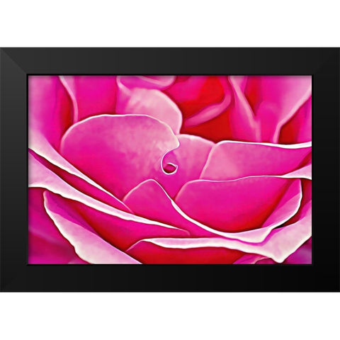 Pink Perfection Rose Black Modern Wood Framed Art Print by Alpenglow Workshop
