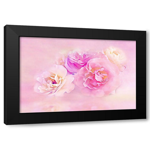 Pink Roses in the Clouds Black Modern Wood Framed Art Print by Alpenglow Workshop
