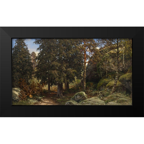 Forest Interior Black Modern Wood Framed Art Print by Alpenglow Workshop