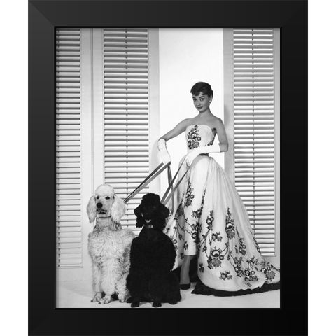 Audrey Hepburn, Sabrina, 1954 Black Modern Wood Framed Art Print by Vintage Hollywood Archive