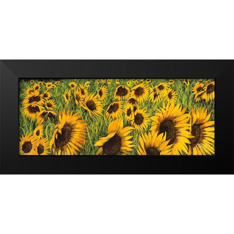 Girasoli Gialli I Black Modern Wood Framed Art Print by Borelli, Guido