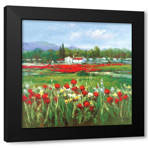 Red Flower Field Black Modern Wood Framed Art Print with Double Matting by Hulsey