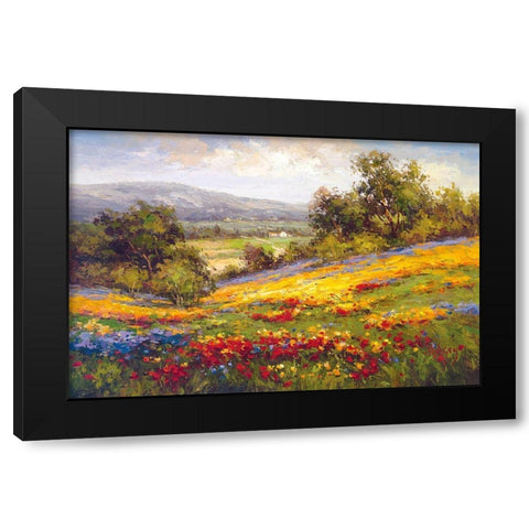 Campo Di Fiore I Black Modern Wood Framed Art Print with Double Matting by Hulsey
