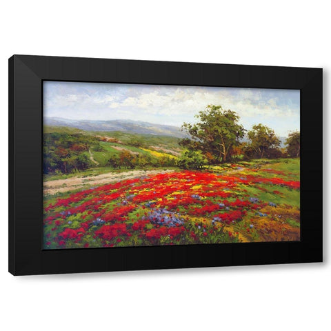 Campo Di Fiore II Black Modern Wood Framed Art Print by Hulsey
