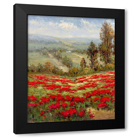 Poppy Vista II Black Modern Wood Framed Art Print with Double Matting by Hulsey
