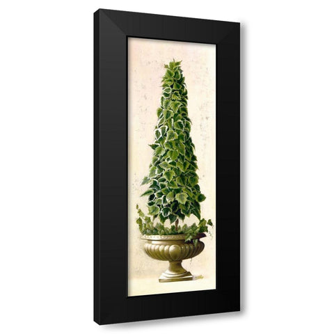 Florentine Topiary I Black Modern Wood Framed Art Print by Welby