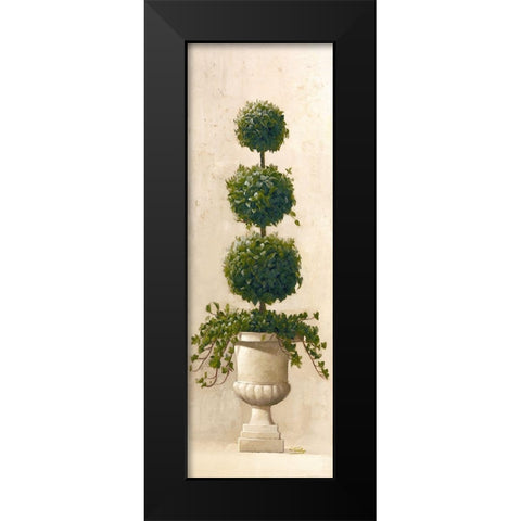 Roman Topiary II Black Modern Wood Framed Art Print by Welby