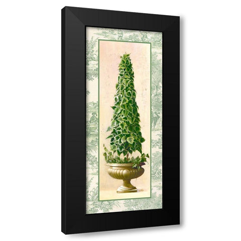 Ivy Topiary I Black Modern Wood Framed Art Print by Welby