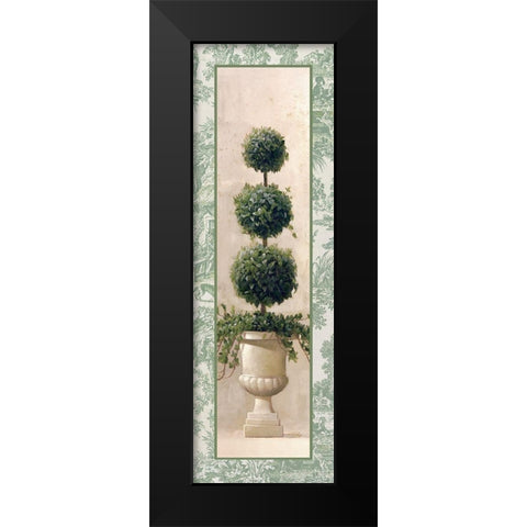 Ivy Topiary IV Black Modern Wood Framed Art Print by Welby