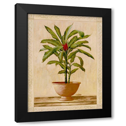 Potted Palm I Black Modern Wood Framed Art Print with Double Matting by Welby